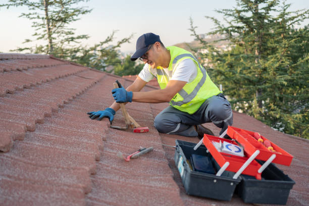 Best Slate Roofing Contractor  in Howell, MI